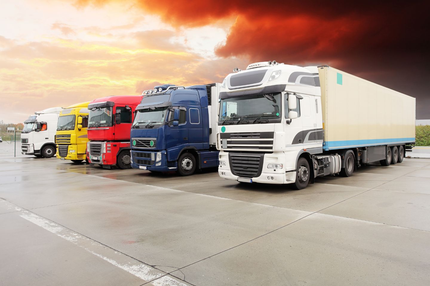 Four trucks of different colors (yellow, red, blue, and white with a trailer) are parked in a row on a wet pavement under a dramatic cloudy sky, showcasing the versatility of step-deck transport systems.